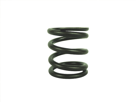 VALVE SPRING LO206/Animal