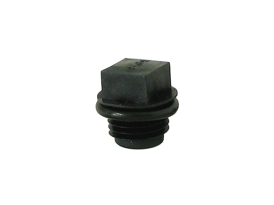 MASTER CYLINDER CAP