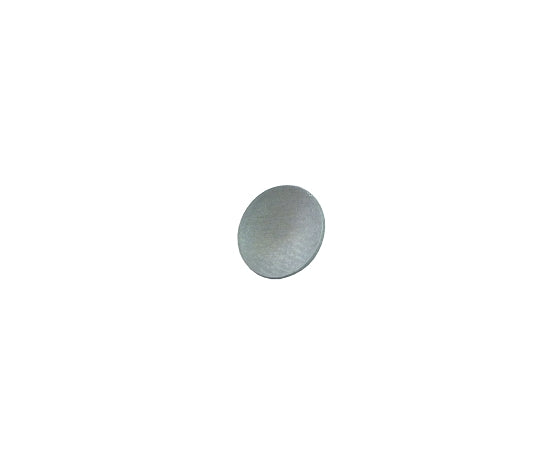 WELCH PLUG