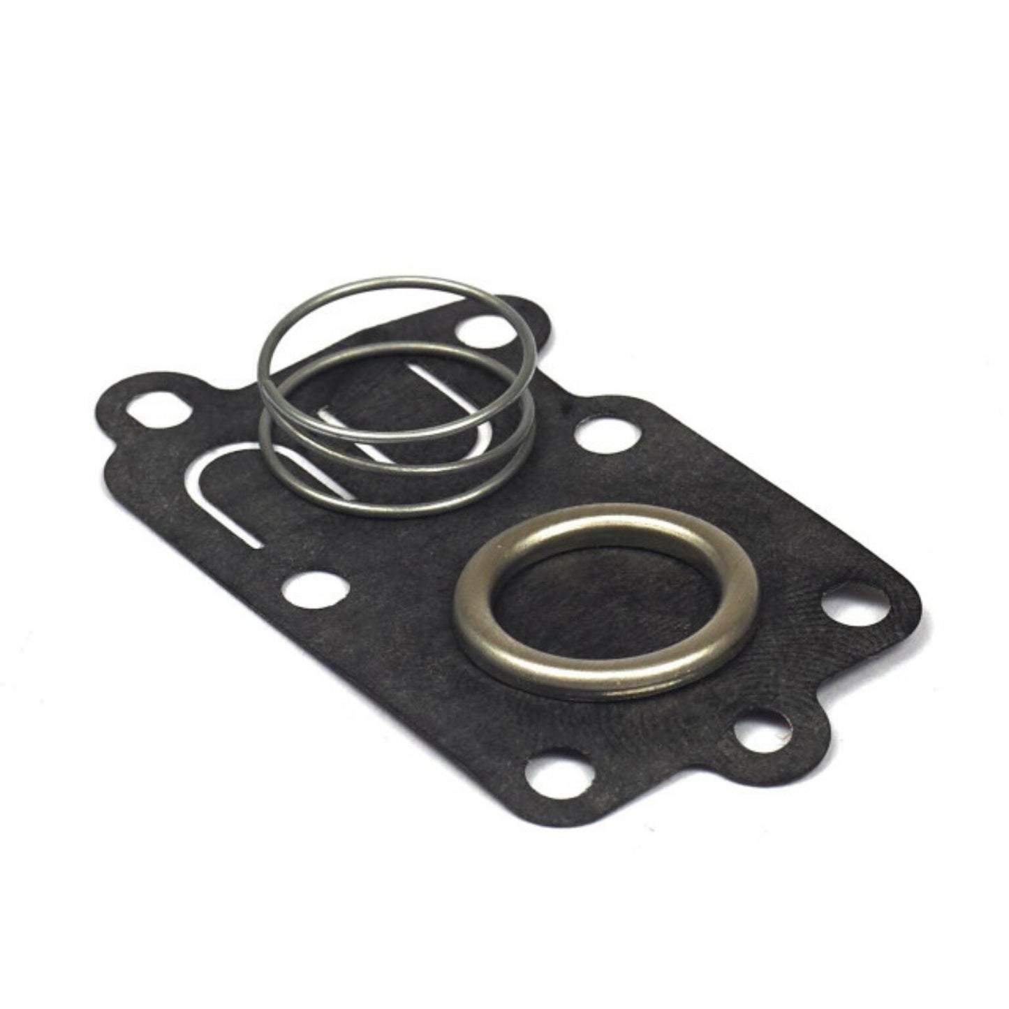 FLATHEAD DIAPHRAGM KIT